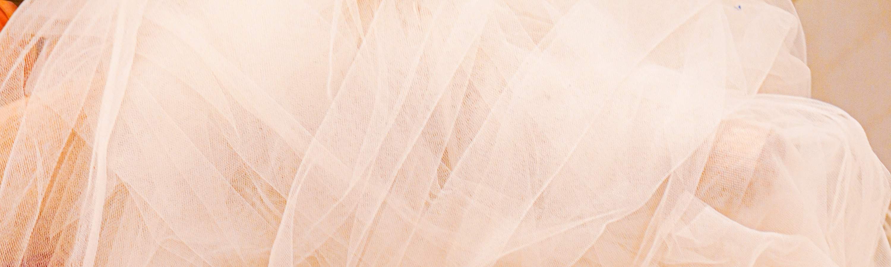 Myosotis Flower - 永生花工作坊 | 奶油艺术工作坊 | 观塘